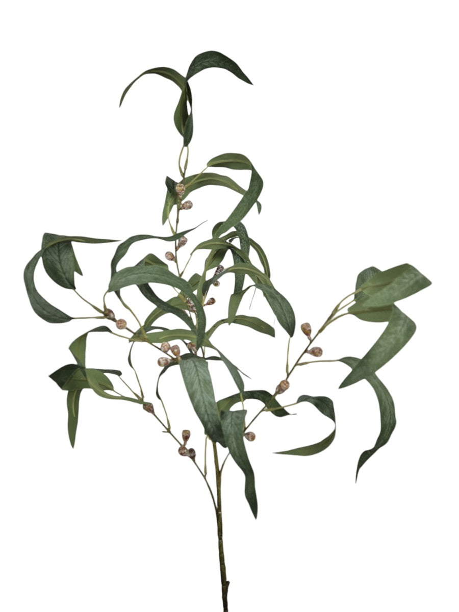 Eucalyptustak met bes