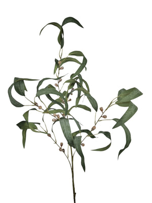 Eucalyptustak met bes