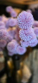 Kunstbloem Pom Pom Lila