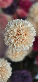 Kunstbloem Pom Pom Cream