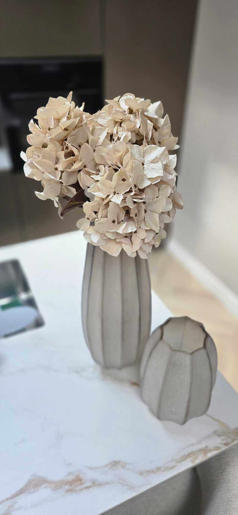 Hortensia Cream