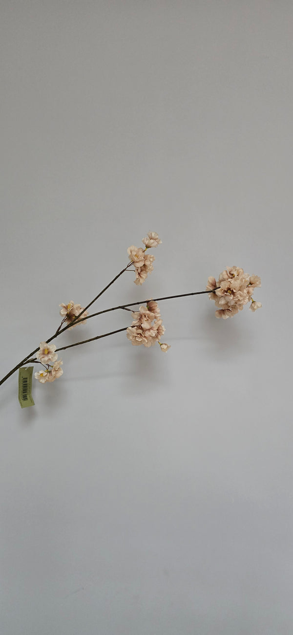 Bloesemtak Champagne