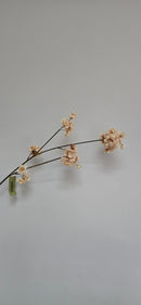 Bloesemtak Champagne