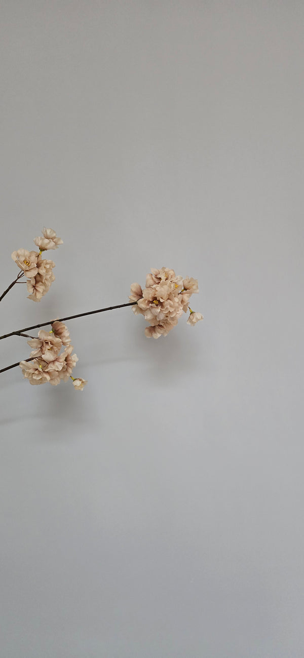 Bloesemtak Champagne