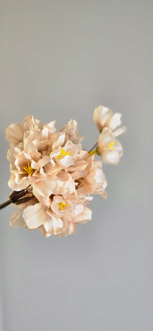 Bloesemtak Champagne