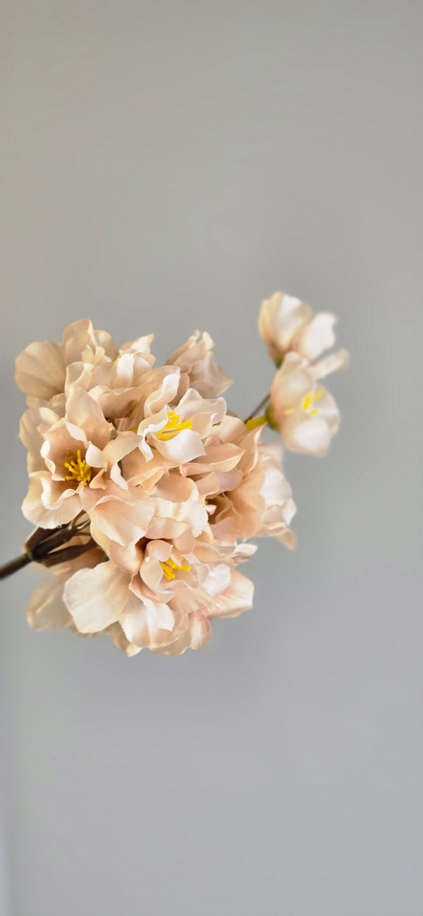 Bloesemtak Champagne