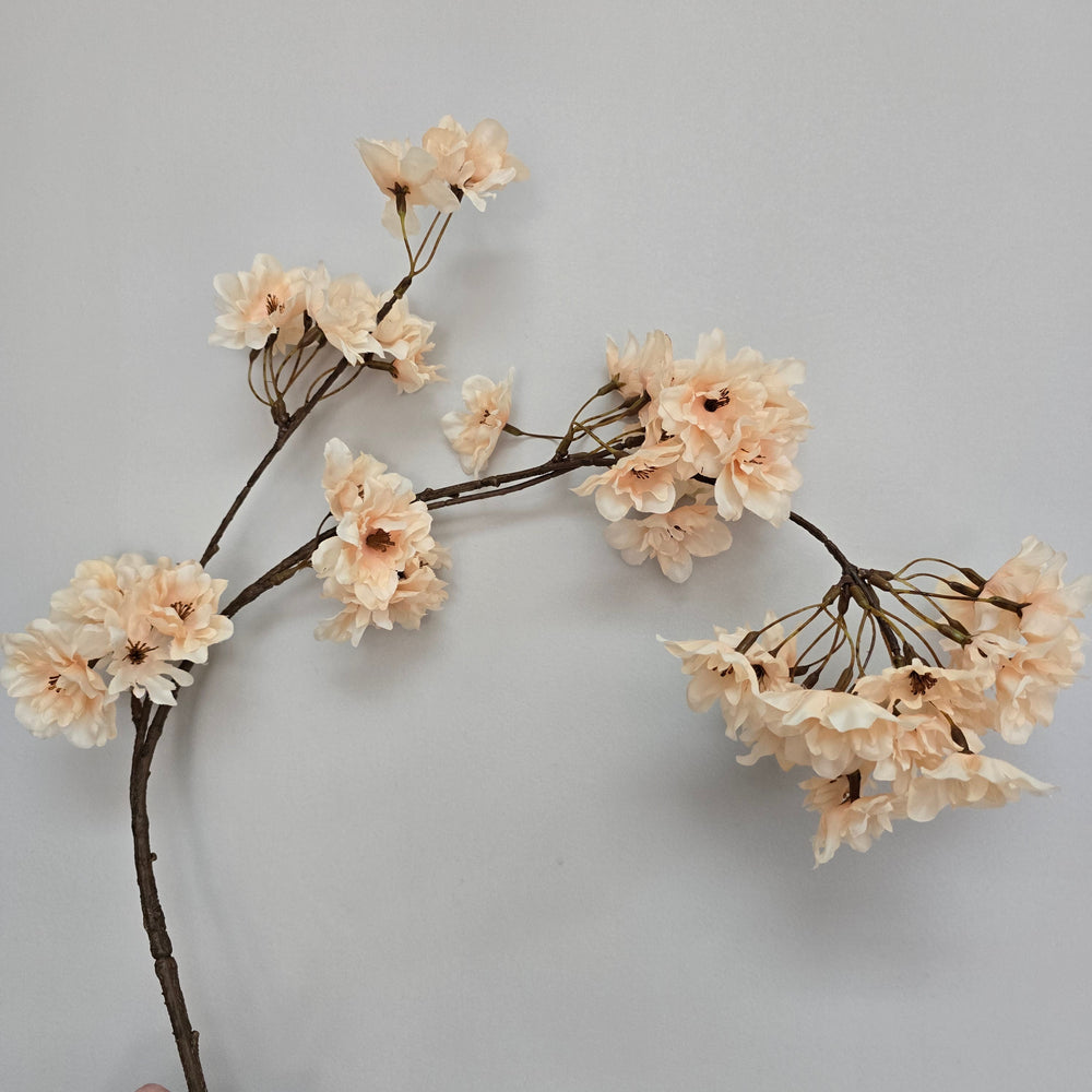 Bloesemtak Soft Peach