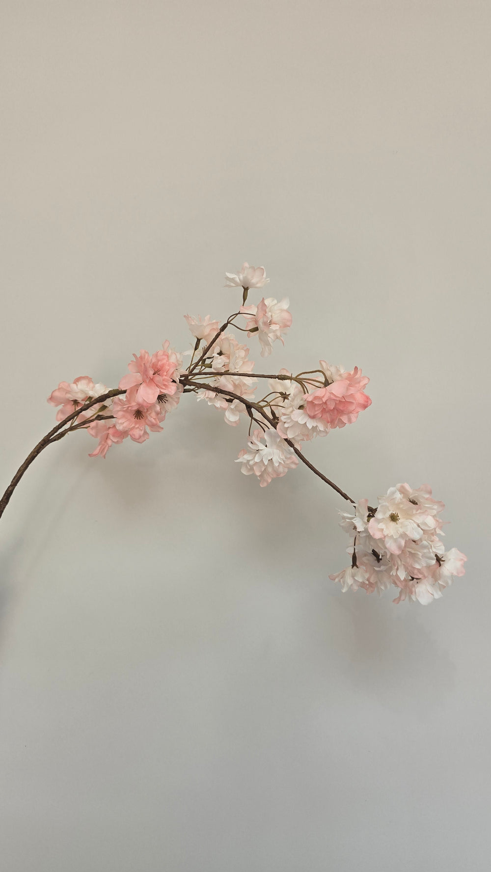 Bloesemtak Misty Pink