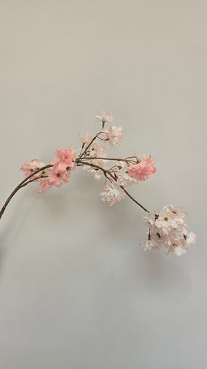 Bloesemtak Misty Pink