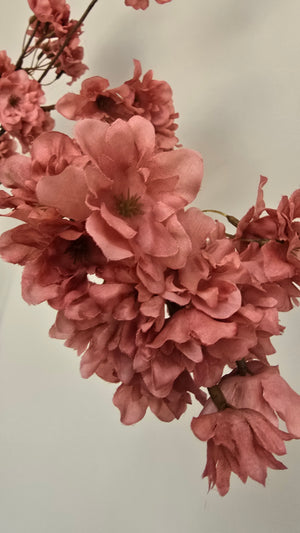 Bloesemtak Dusty Coral