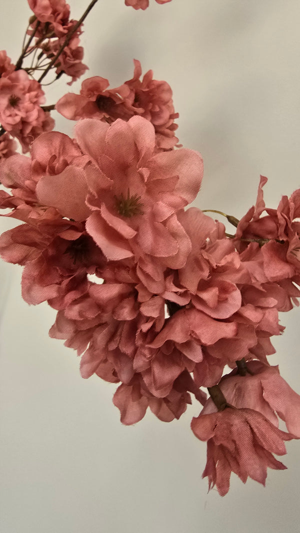 Bloesemtak Dusty Coral