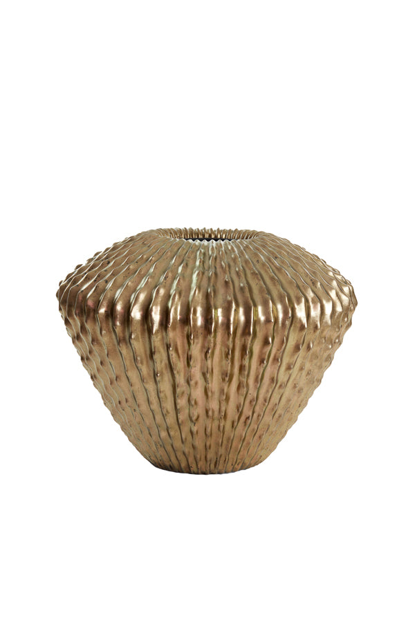 Vaas Cacti laag
