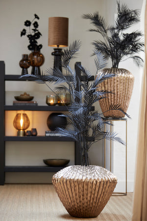 Vaas Cacti hoog