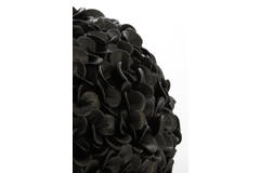 Vaas Phylia Matt black