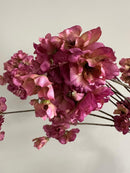 Bloesemtak Vermillion