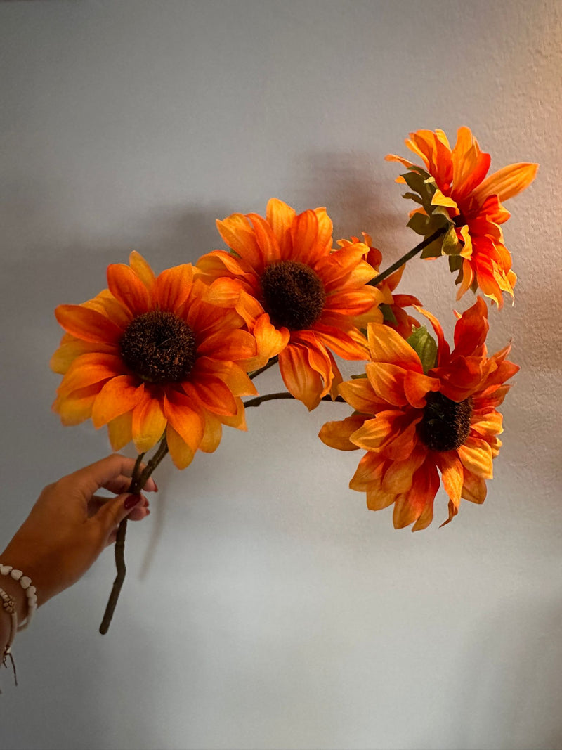 Sunflower bush Malibu orange