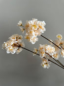 kunstbloesemtak beige créme