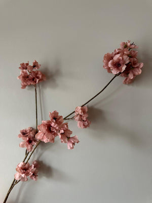 Bloesemtak Oud Roze