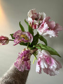 Parrot Tulips Set van 5 stuks Lavendel combi