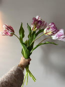 Parrot Tulips Set van 5 stuks Lavendel combi