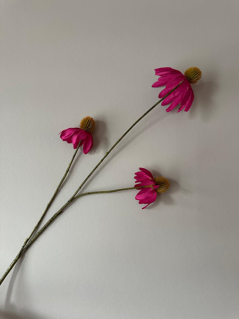 Echinacea spray Fuchsia