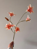 Bloesemtak Lelie peach