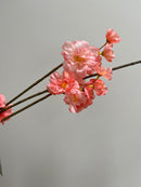 bloesemtak peach perzik koraal