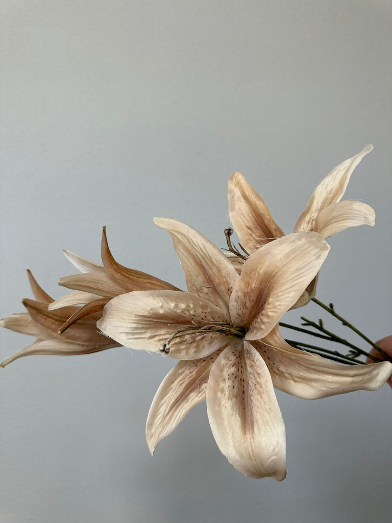 Tigerlily Spray brown