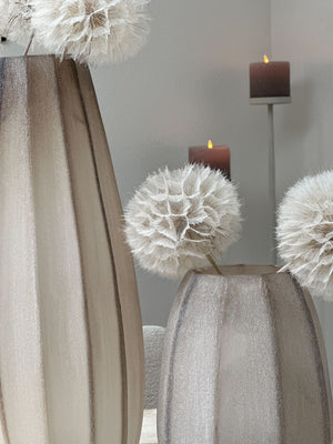 Set van 5 Dandelion
