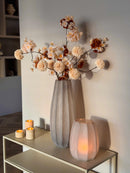 Vaas Bradley Light brown