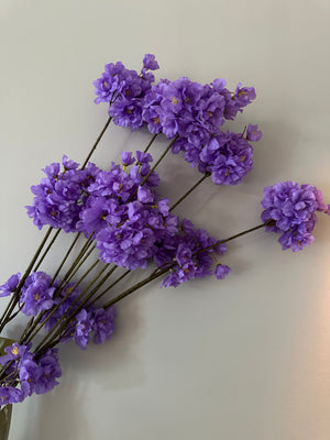 Bloesemtak Violetpaars