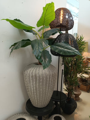 Vaas Cacti hoog