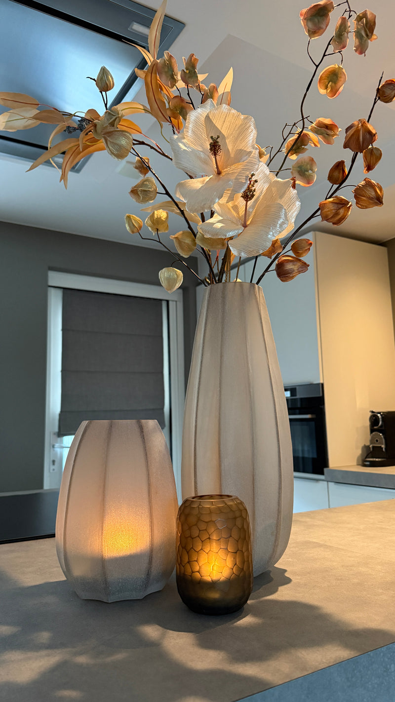 Vaas Bradley Light brown