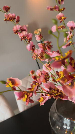 Orchideetak Koraal