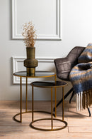 Duarte Set van 2 Glas smoke-Goud