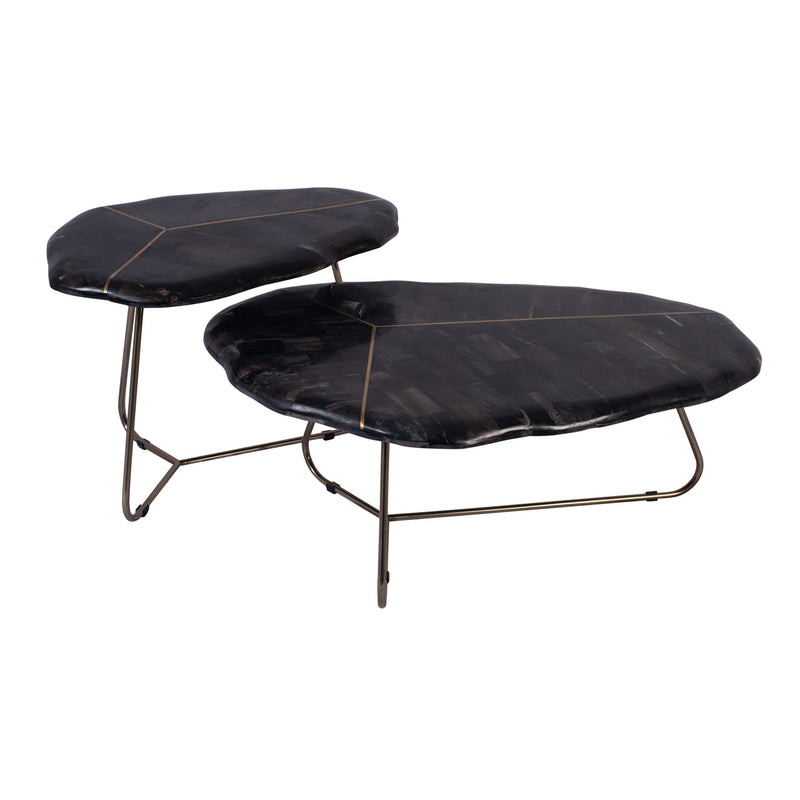Patly Petrified wood coffeetables sv2 golden frame
