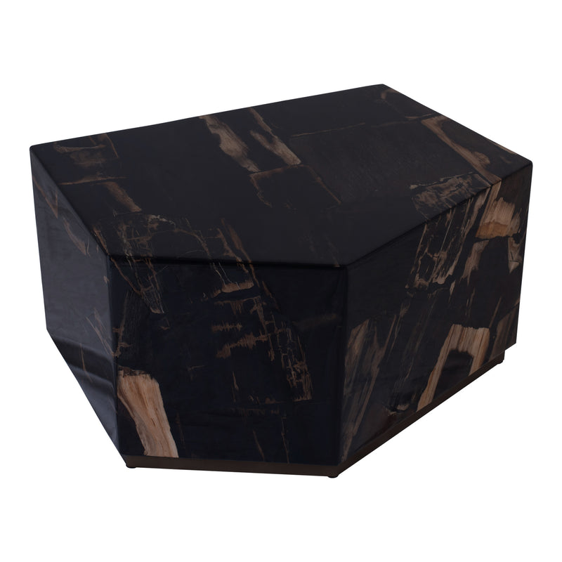 Rayn Petrified wood black coffeetable