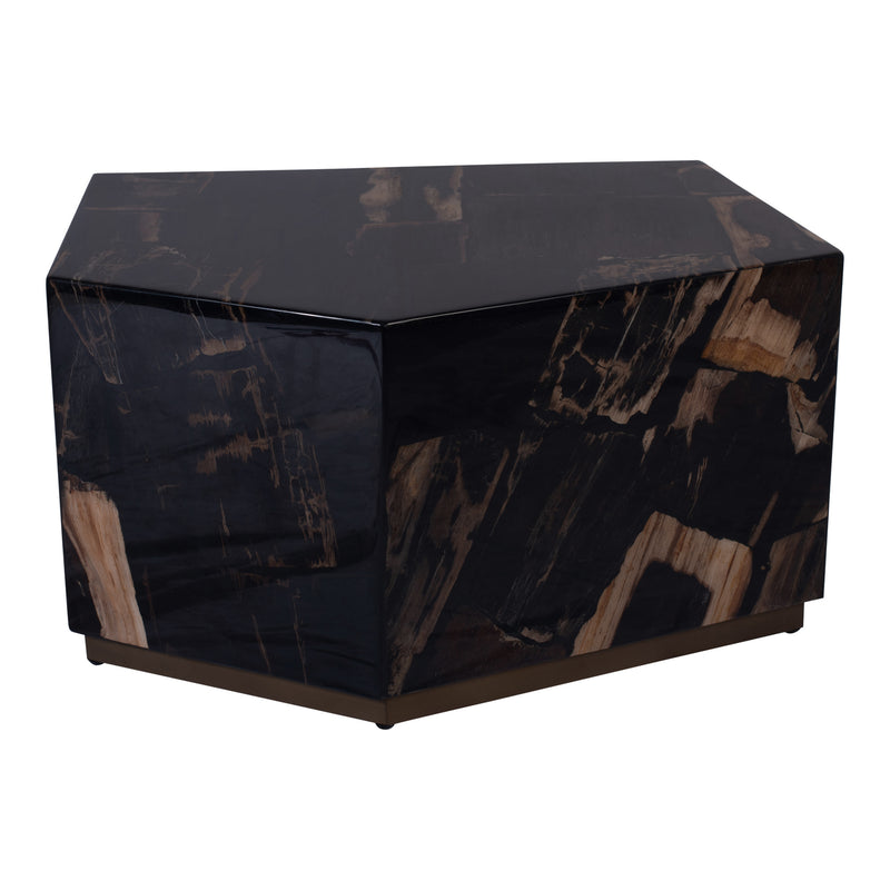 Rayn Petrified wood black coffeetable