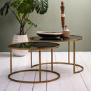 Duarte Set van 2 Glas smoke-Goud